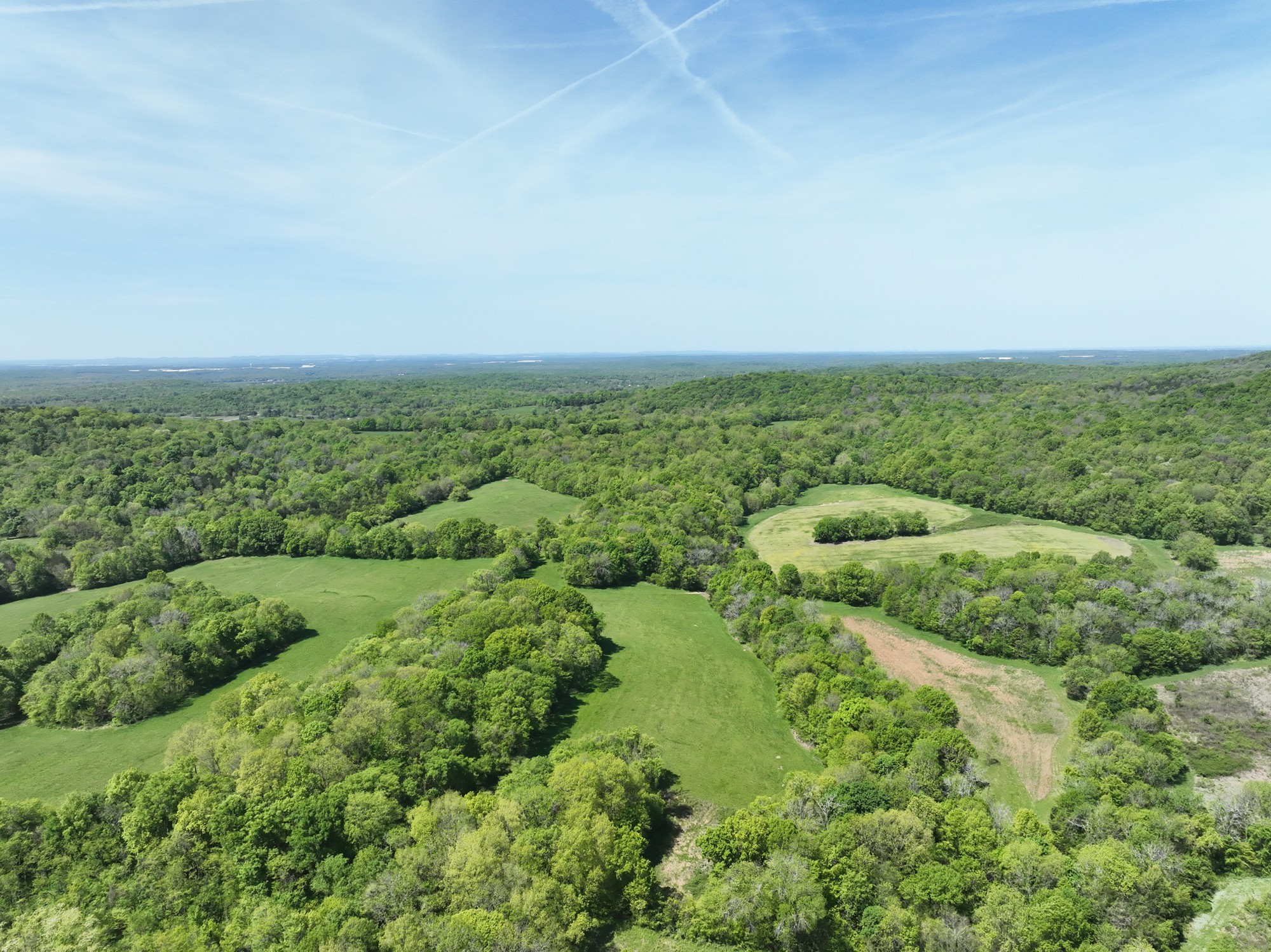 6180 Southeast Tater Peeler Road Lebanon, TN 37090 - Photo 87 of 89 an aerial view of forest