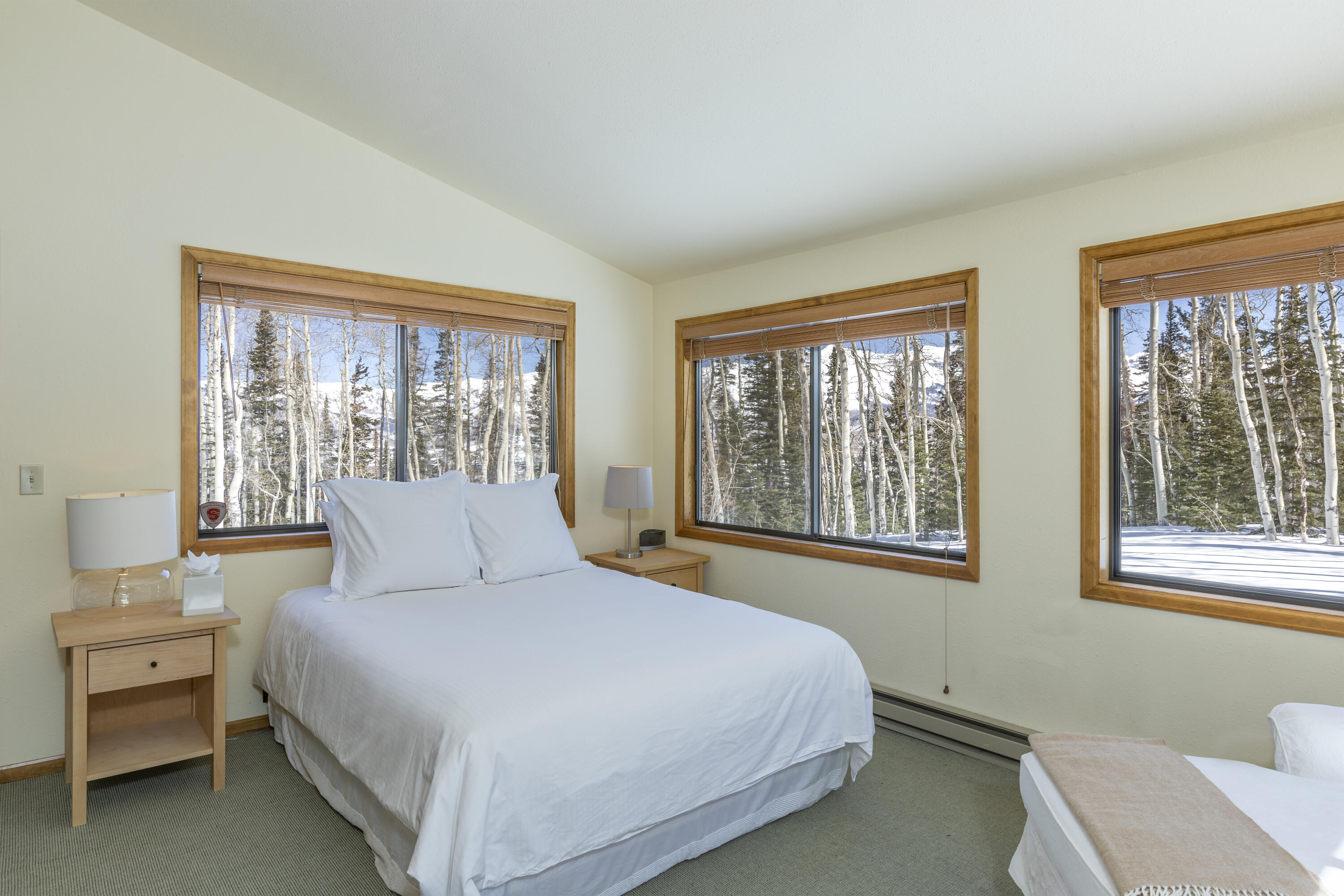 1 Raspberry Patch Road Telluride, CO 81435 - Photo 15 of 21 GB