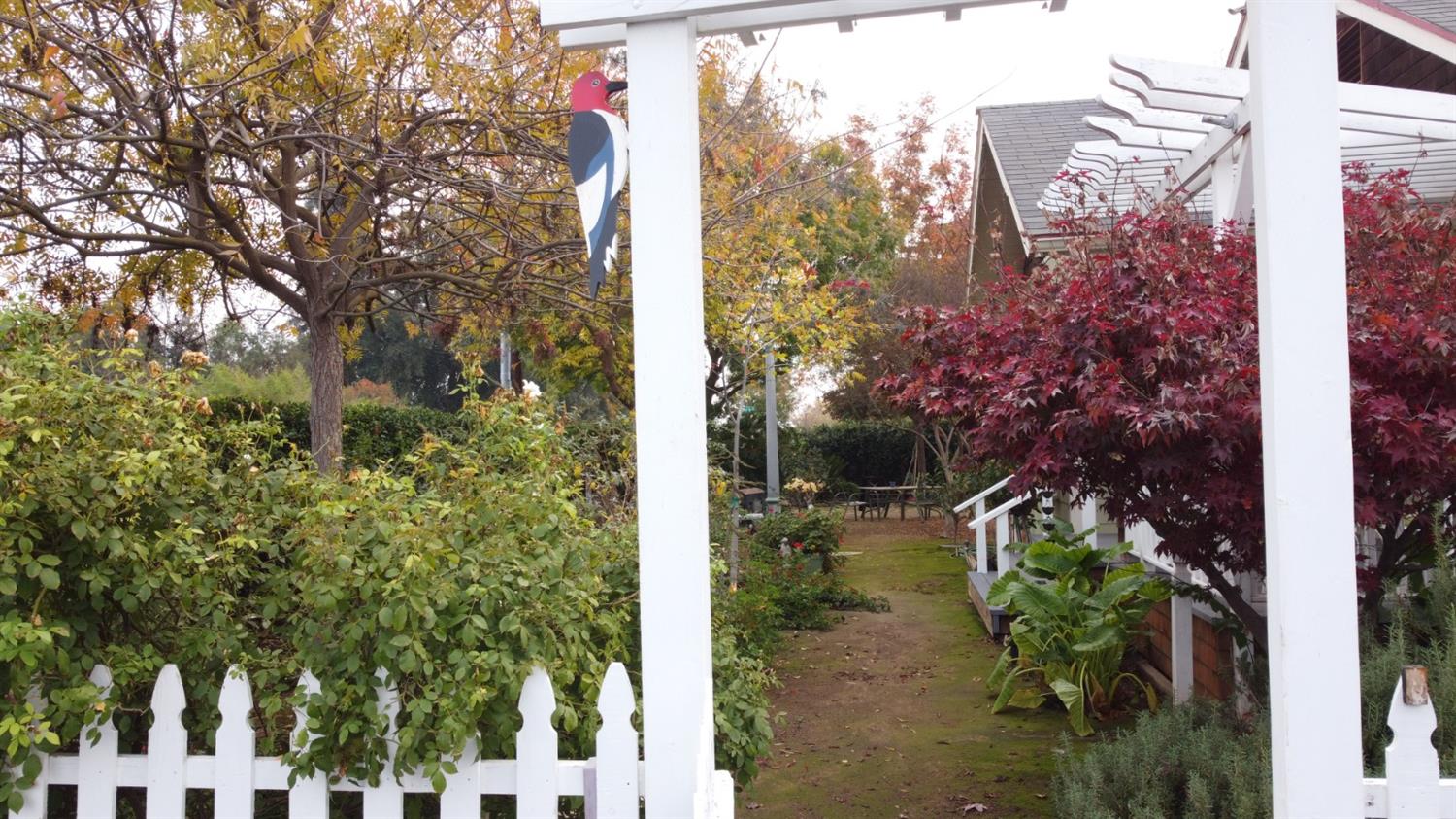 523 North Buttonwillow Avenue Reedley, CA 93654 - Photo 72 of 85 Enter through the white picket fence into your own private paradise....
