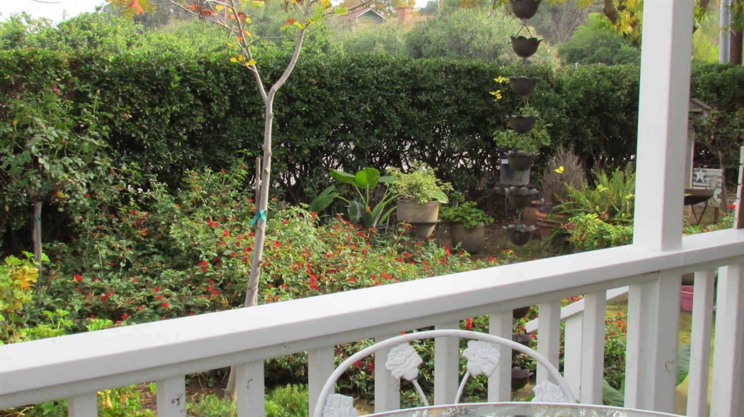 523 North Buttonwillow Avenue Reedley, CA 93654 - Photo 75 of 85 View from your sitting porch to enjoy & relax....