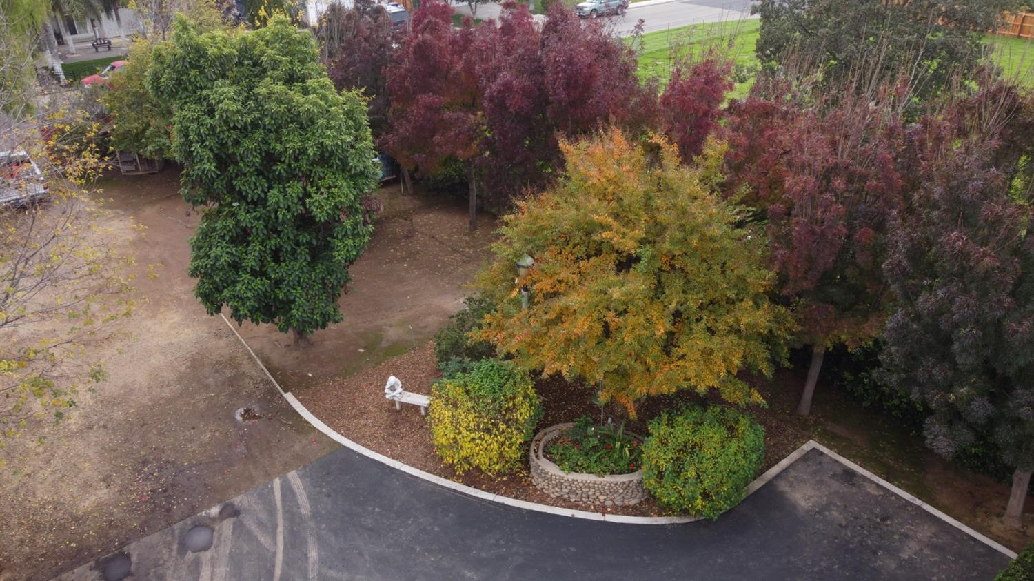 523 North Buttonwillow Avenue Reedley, CA 93654 - Photo 76 of 85 Beautifully manicured & well taken care of....