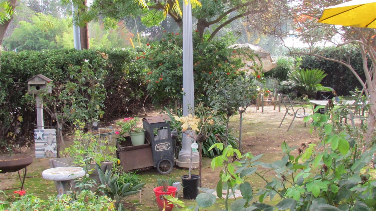 523 North Buttonwillow Avenue Reedley, CA 93654 - Photo 77 of 85 such beauty to relax & enjoy....