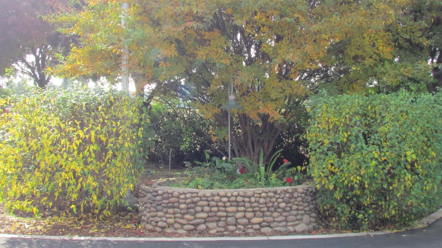 523 North Buttonwillow Avenue Reedley, CA 93654 - Photo 79 of 85 Rock garden for your green thumb....