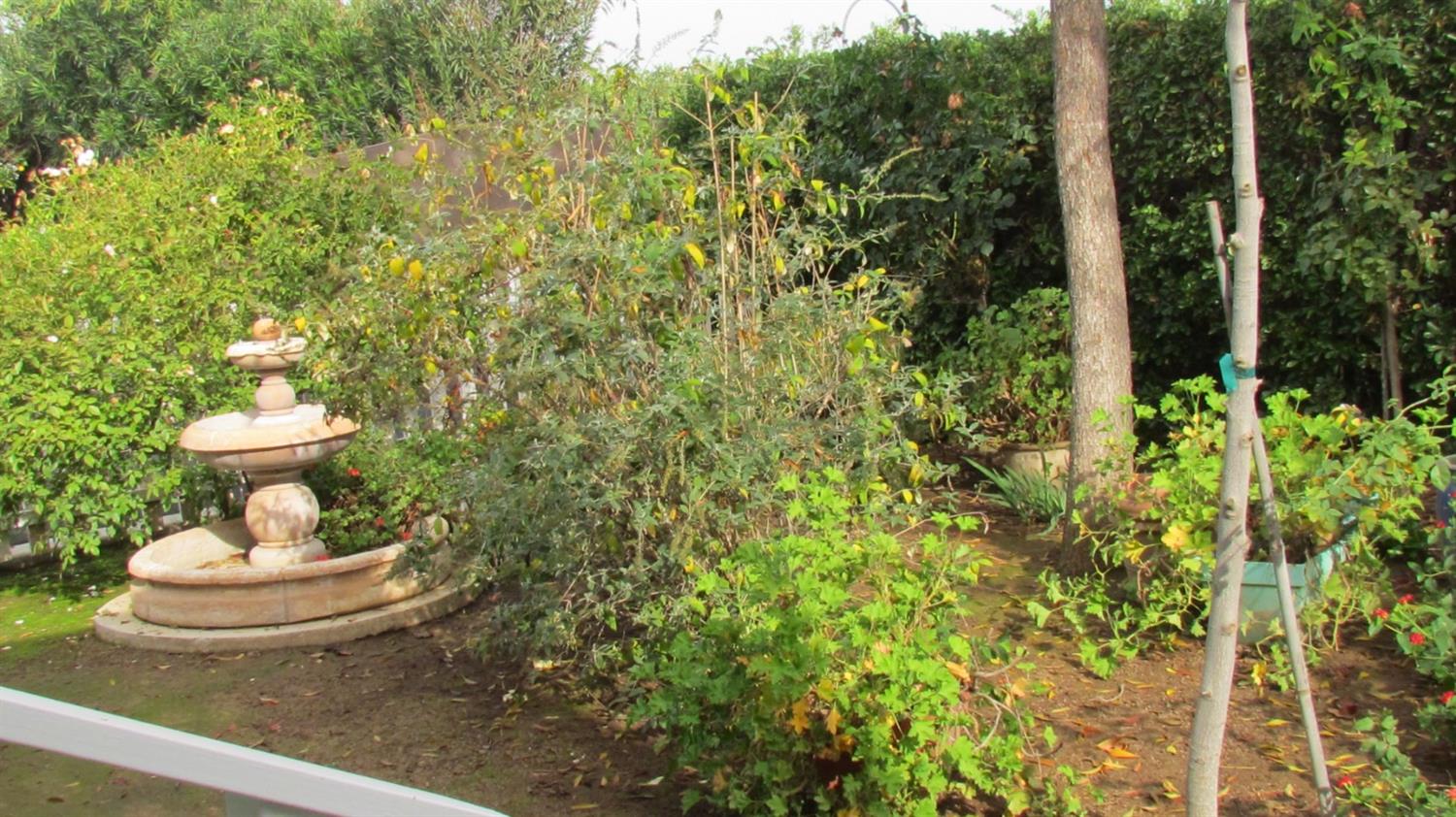 523 North Buttonwillow Avenue Reedley, CA 93654 - Photo 80 of 85 Water feature to enjoy...