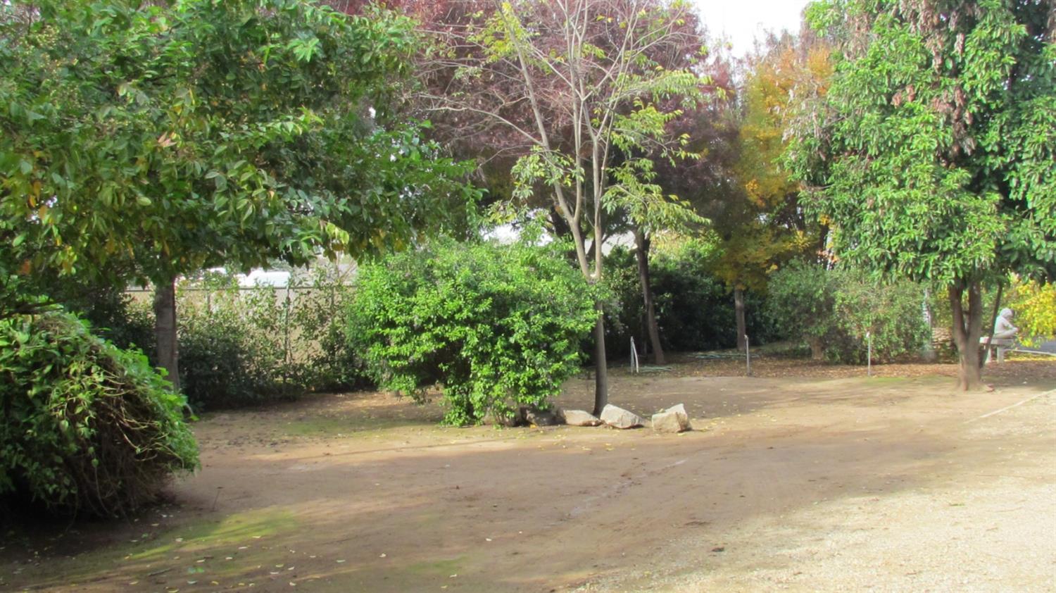 523 North Buttonwillow Avenue Reedley, CA 93654 - Photo 82 of 85 Plenty of space for your pets to roam & enjoy....