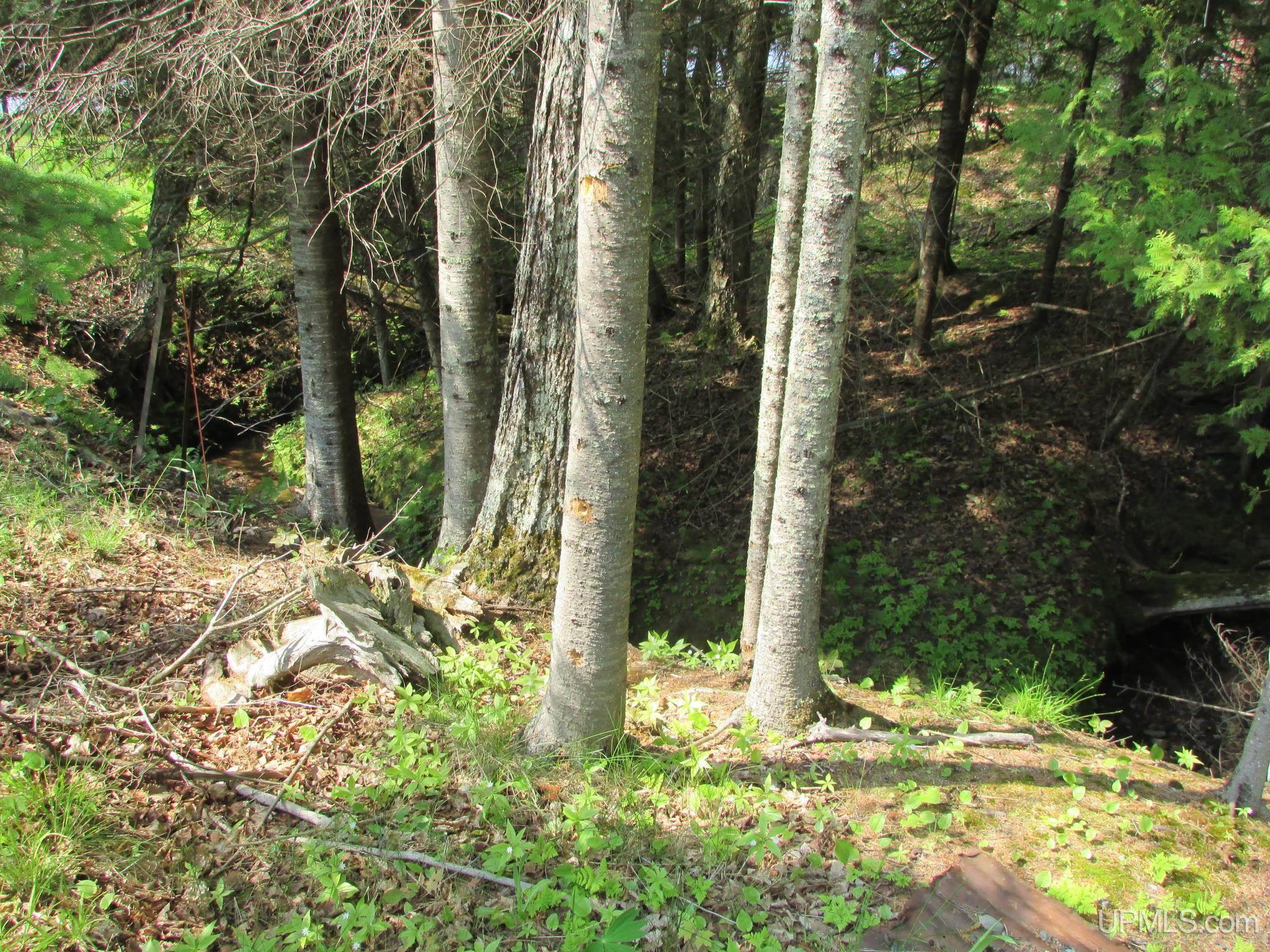 20517 Park Road Skanee, MI 49962 - Photo 74 of 84