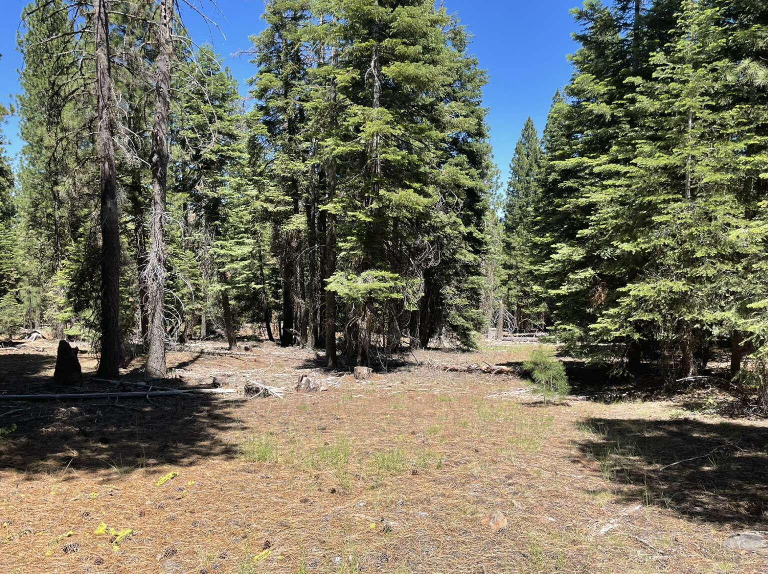 0 Range Road Alturas, CA 96101 - Photo 3 of 39 Hesser.3