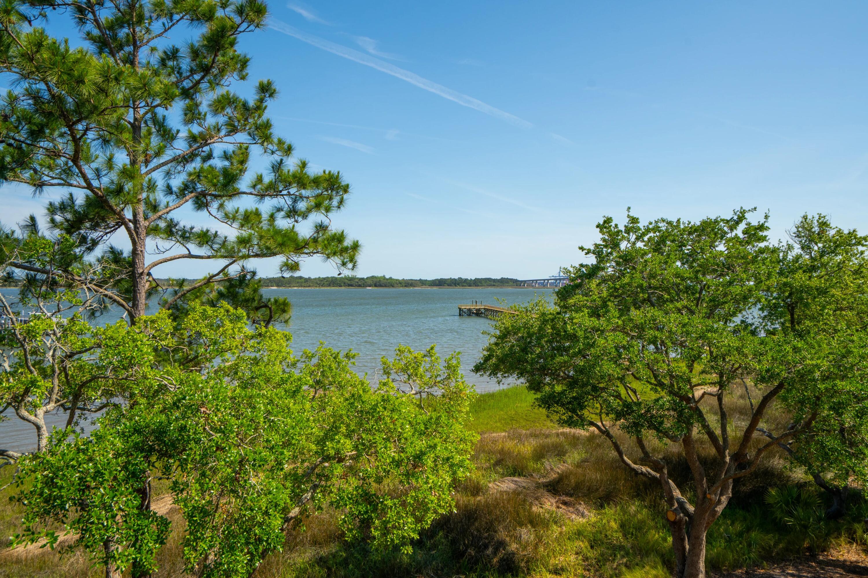 401 Wayfaring Point Daniel Island, SC 29492 - Photo 103 of 155 photo_104