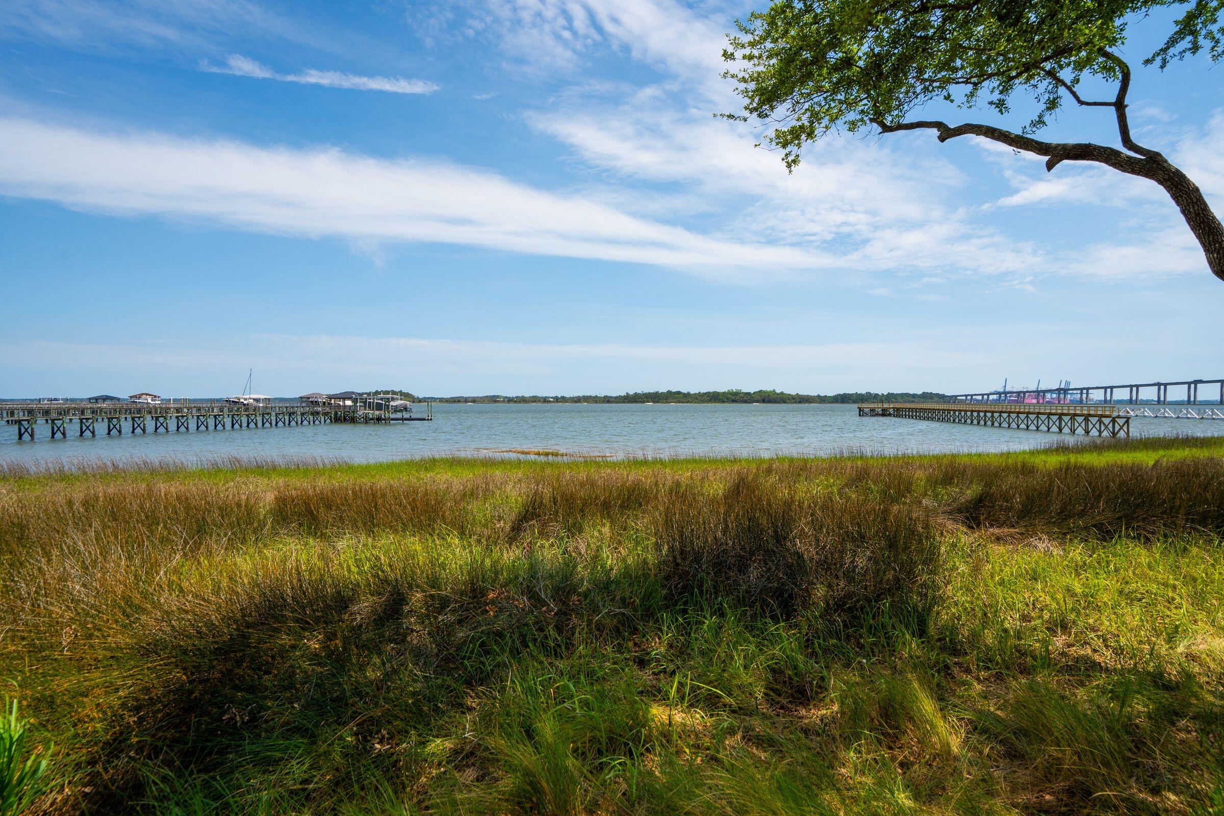 401 Wayfaring Point Daniel Island, SC 29492 - Photo 41 of 155 photo_041