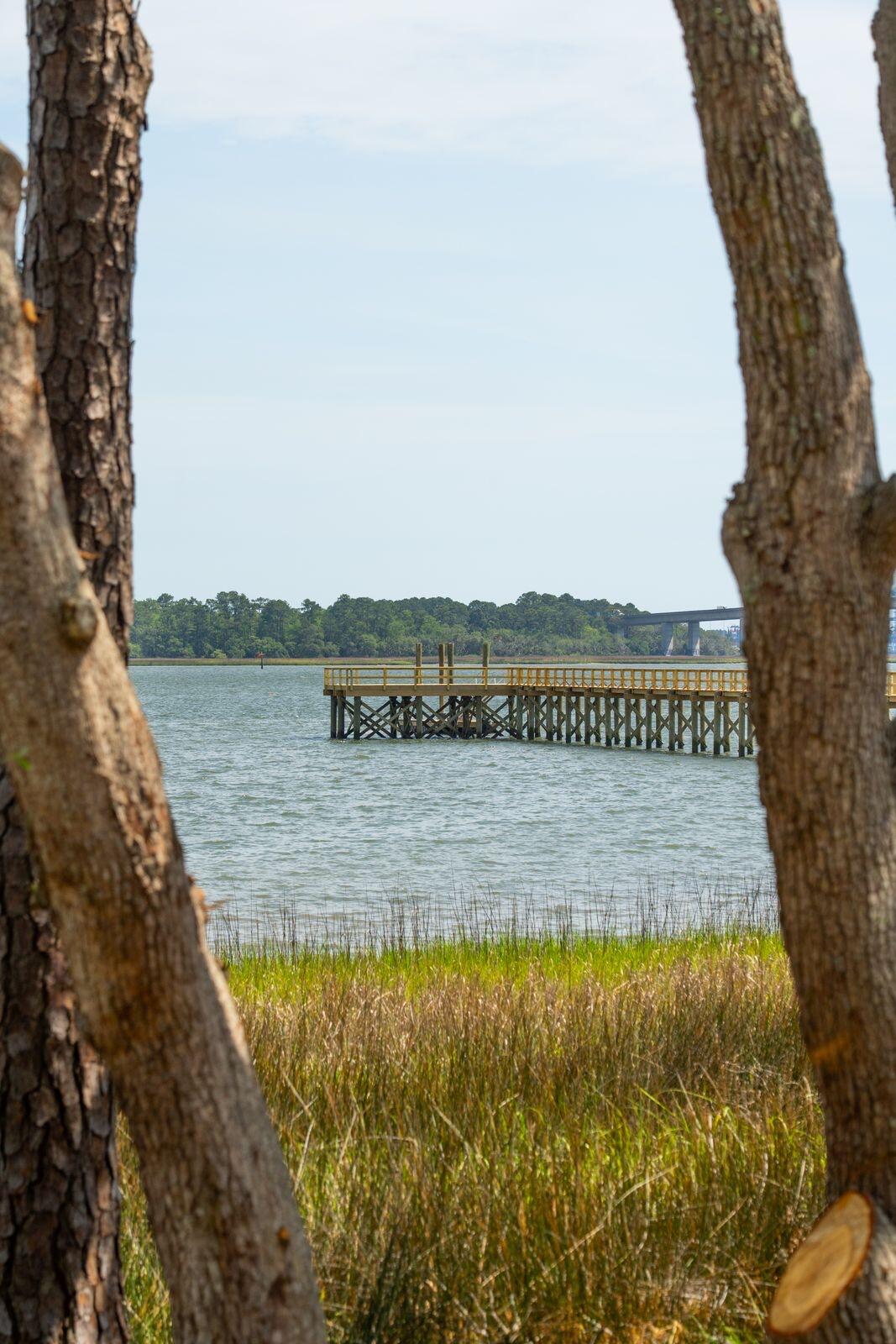 401 Wayfaring Point Daniel Island, SC 29492 - Photo 47 of 155 photo_048