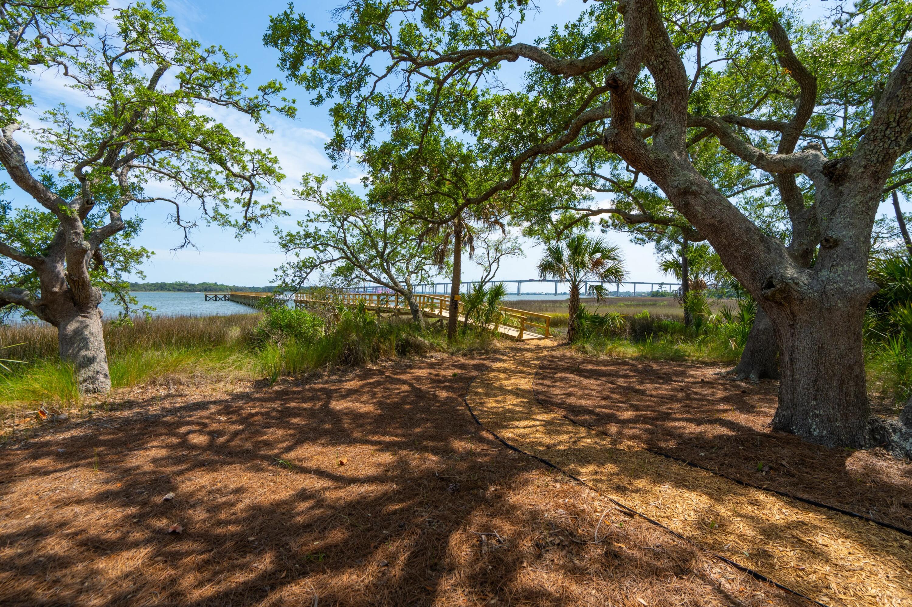 401 Wayfaring Point Daniel Island, SC 29492 - Photo 48 of 155 photo_049