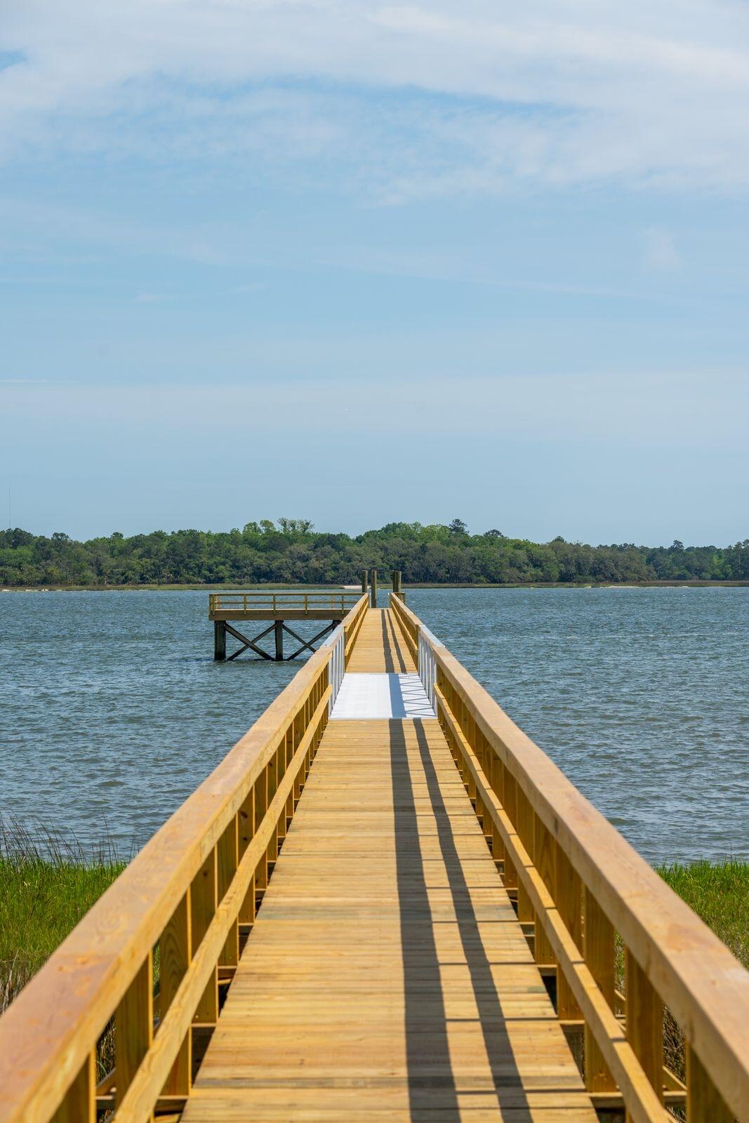 401 Wayfaring Point Daniel Island, SC 29492 - Photo 49 of 155 photo_050