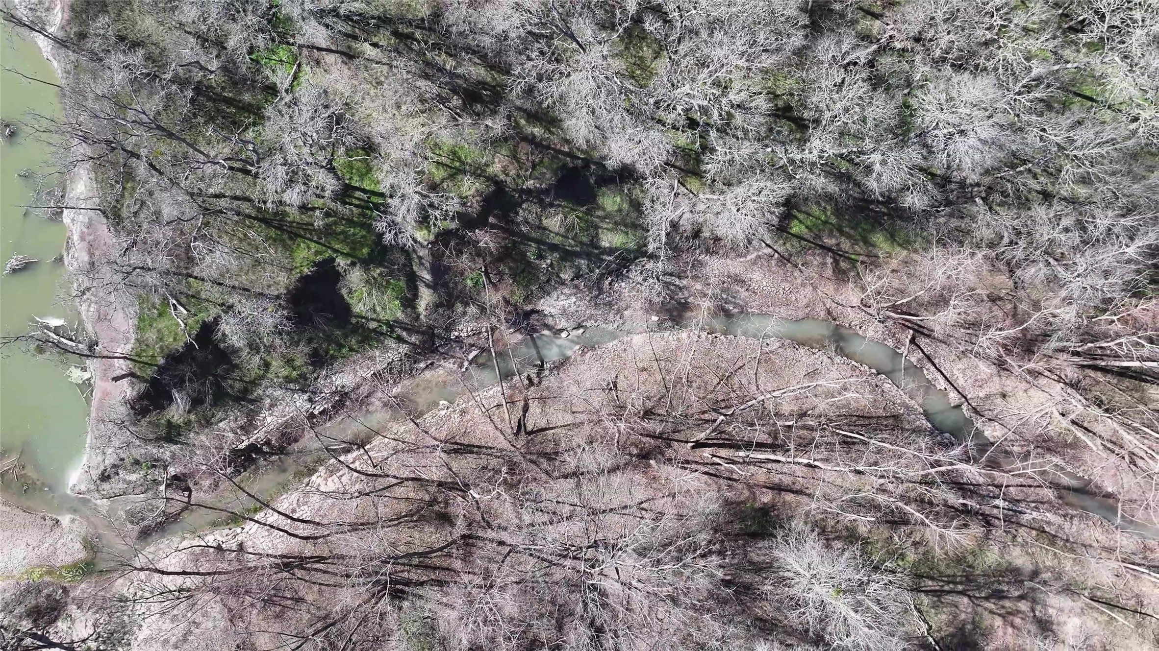 0 East Fm 485 Cameron, TX 76520 - Photo 11 of 26 a view of a forest with lots of trees