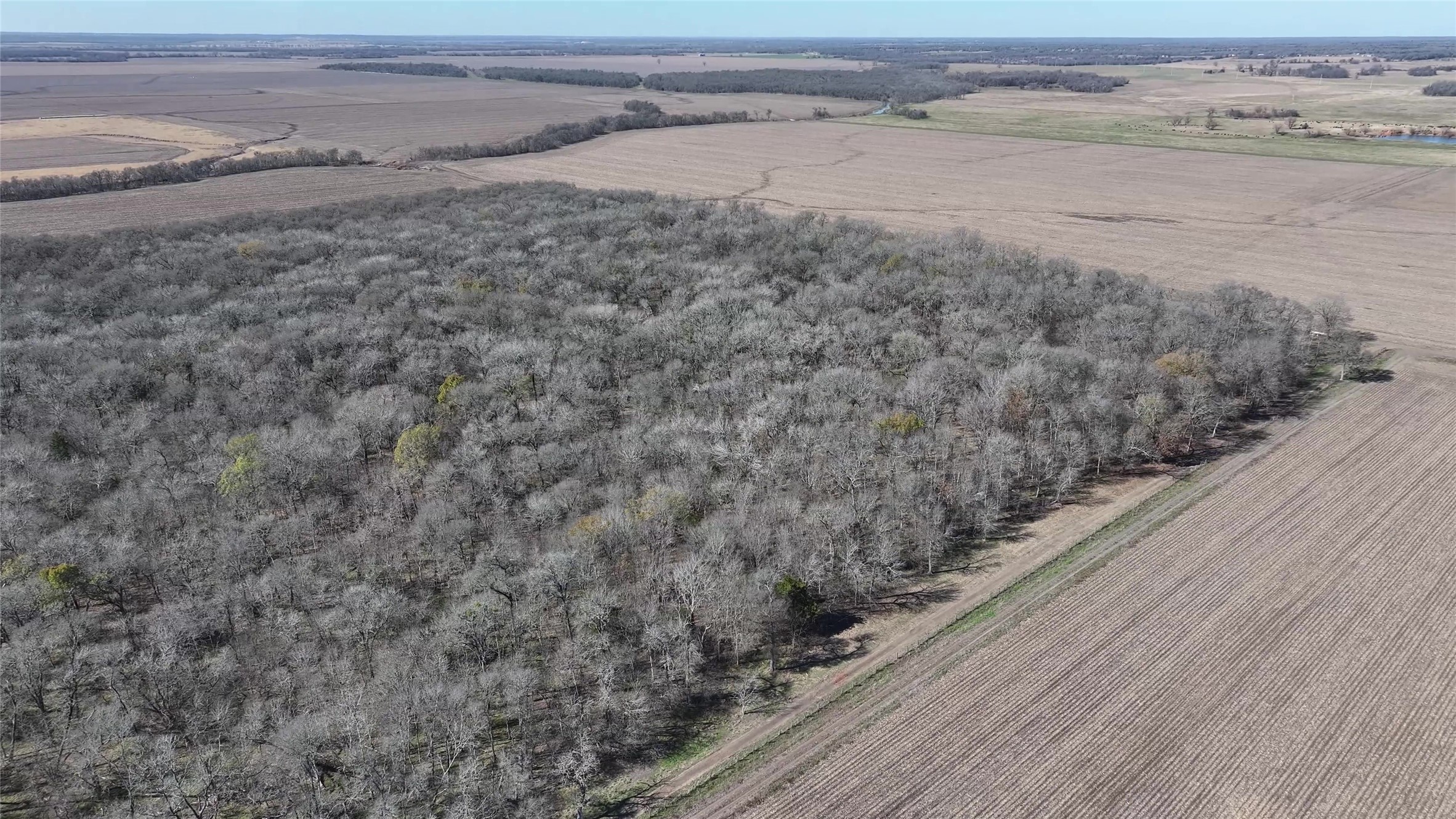 0 East Fm 485 Cameron, TX 76520 - Photo 20 of 26 a view of a dry yard with wooden floor