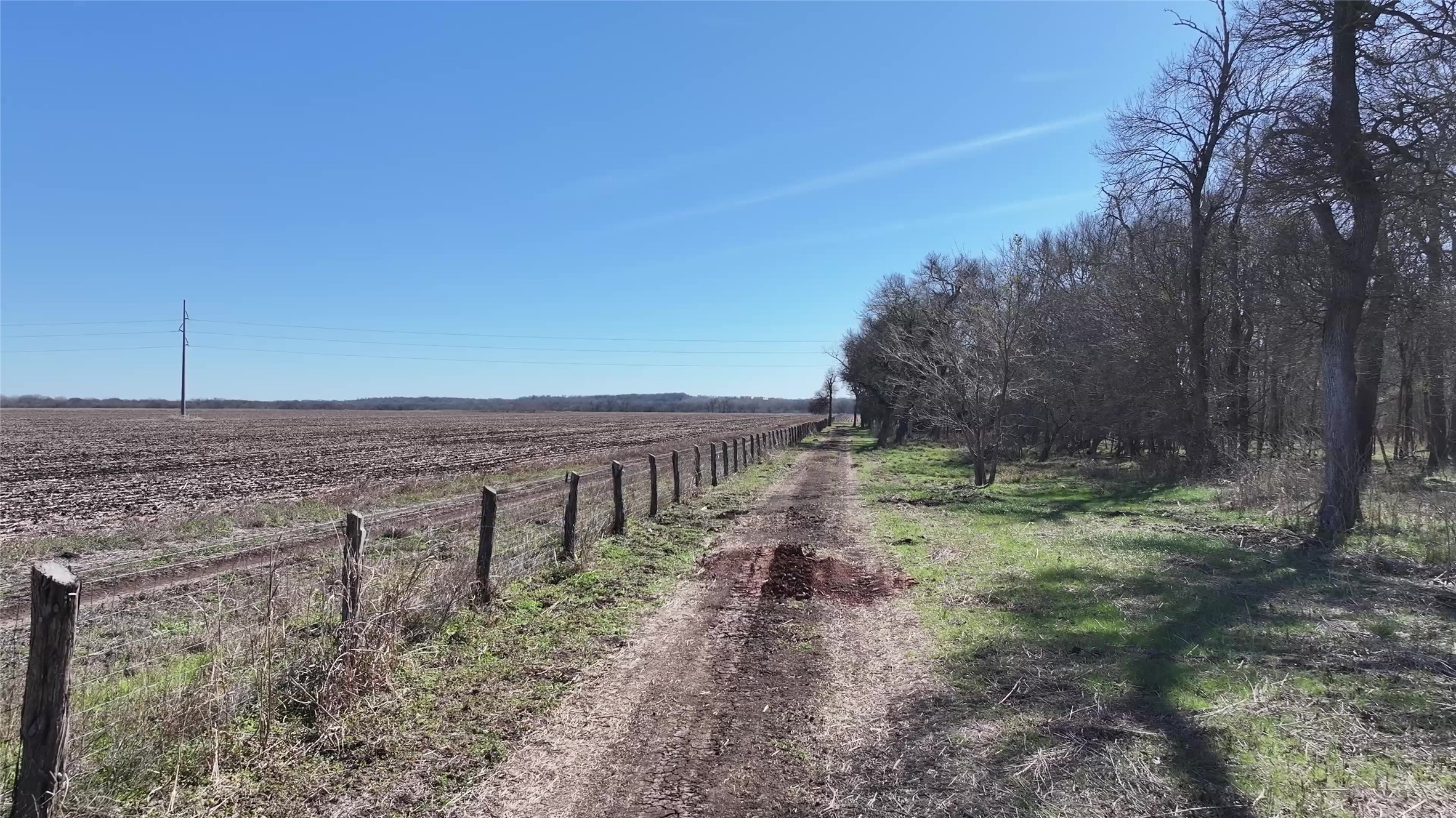 0 East Fm 485 Cameron, TX 76520 - Photo 21 of 26 a view of a dry yard with trees