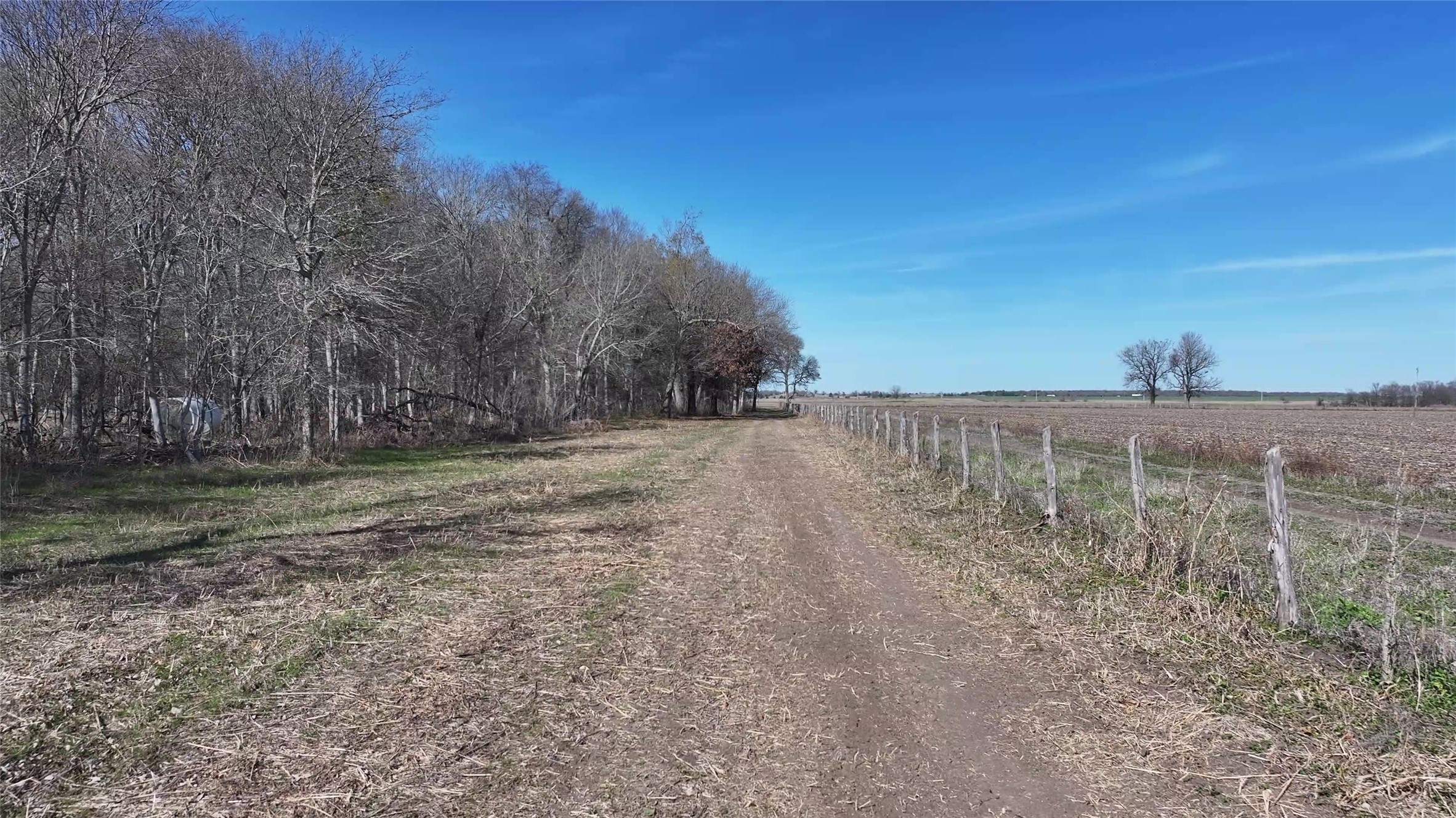 0 East Fm 485 Cameron, TX 76520 - Photo 22 of 26 a view of a dry yard with trees