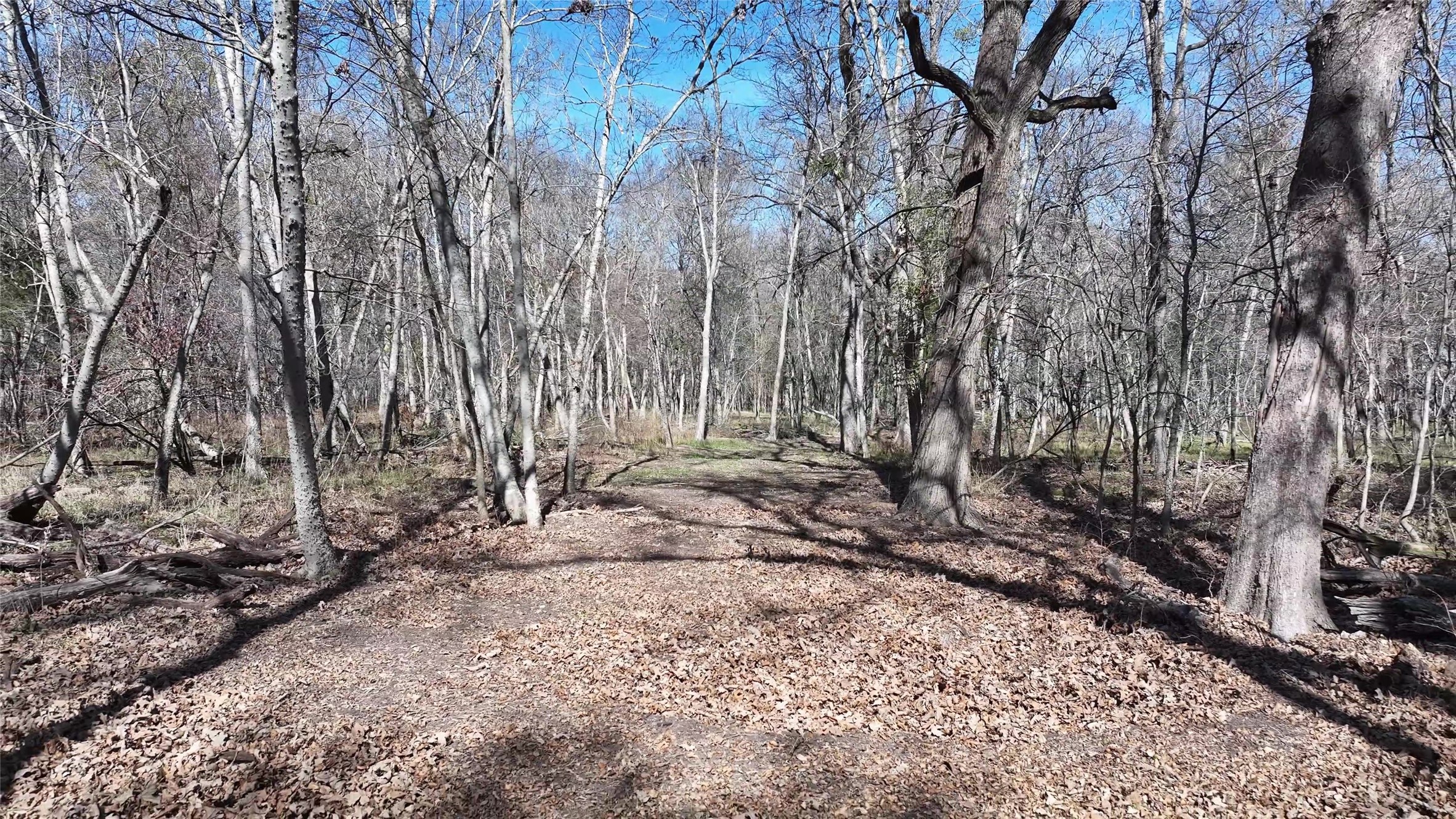 0 East Fm 485 Cameron, TX 76520 - Photo 23 of 26 a view of a yard with trees