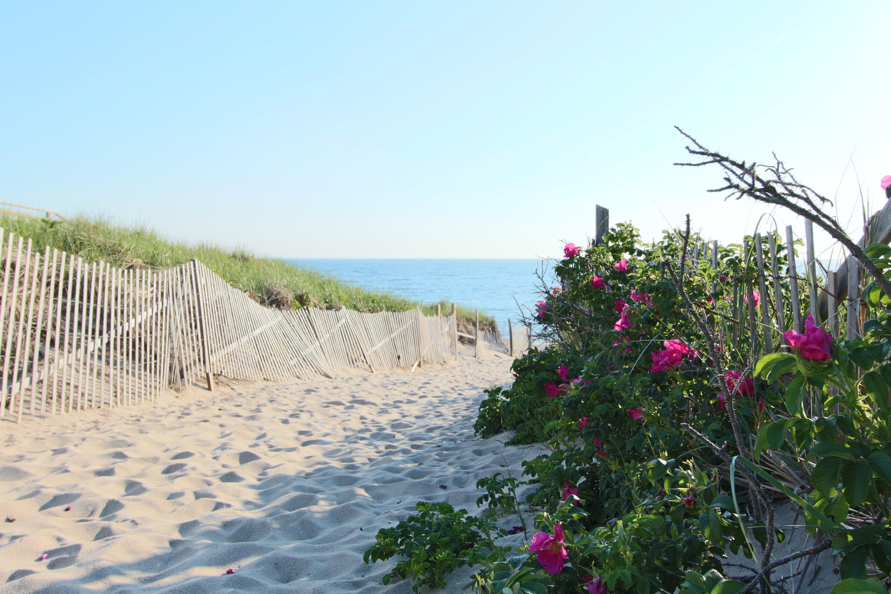 2 Katharine Road Truro, MA 02666 - Photo 44 of 60 a view of a yard with an umbrella and wooden fence