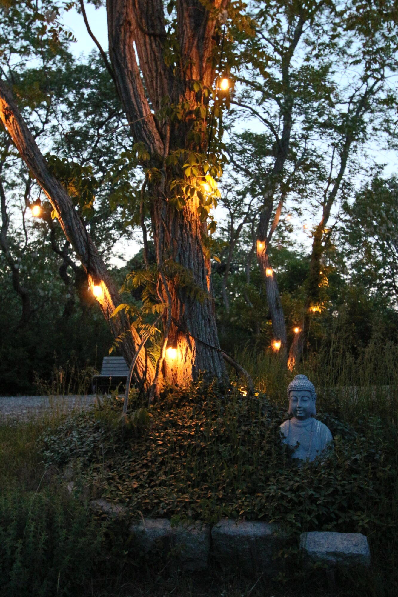 2 Katharine Road Truro, MA 02666 - Photo 52 of 60 IMG_3968