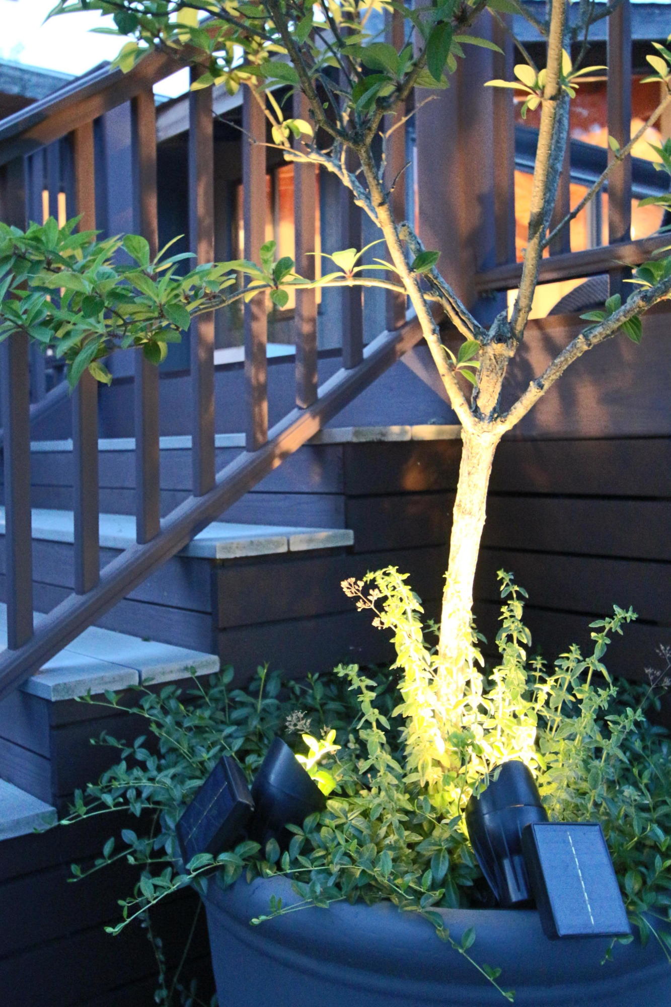 2 Katharine Road Truro, MA 02666 - Photo 53 of 60 a front view of a house with a yard