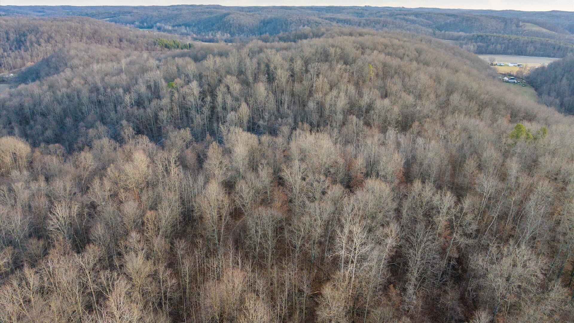 31201 Claypool Hollow Road McArthur, OH 45651 - Photo 81 of 89 089-z 31201 Claypool123