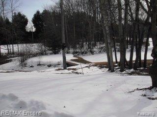 4337 Casey Road Dryden, MI 48428 - Photo 10 of 24 4337 Casey Rd (10).JPG