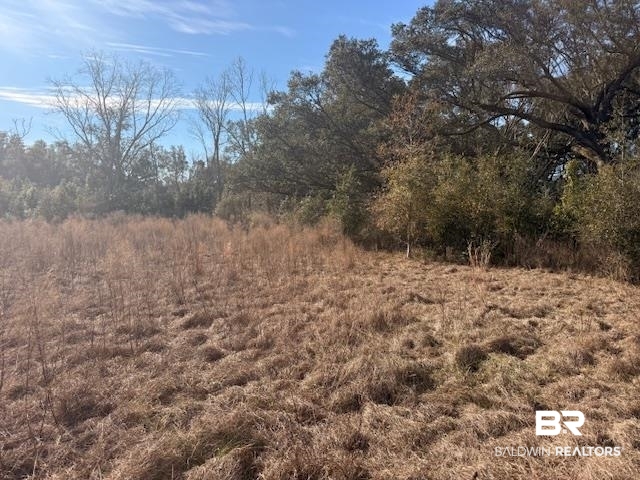 0 Krehling Lane Elberta, AL 36530 - Photo 9 of 10 View of local wilderness