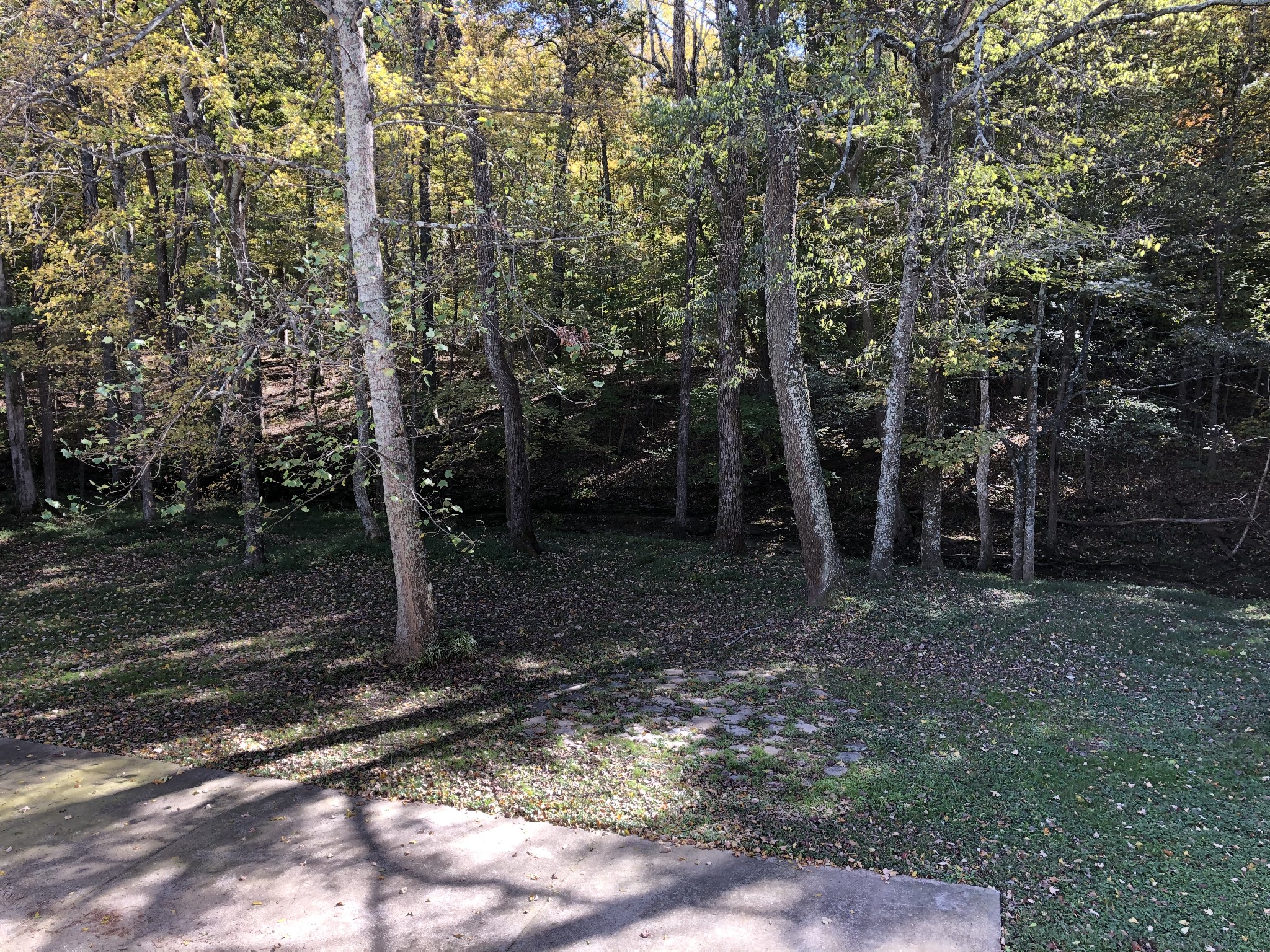 7535 Webster Road Greenbrier, TN 37073 - Photo 16 of 23 a view of a forest with trees in the background