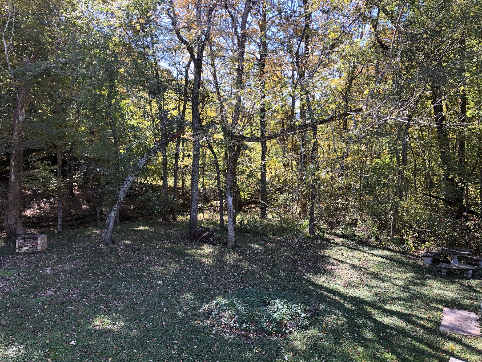7535 Webster Road Greenbrier, TN 37073 - Photo 17 of 23 a view of outdoor space and trees