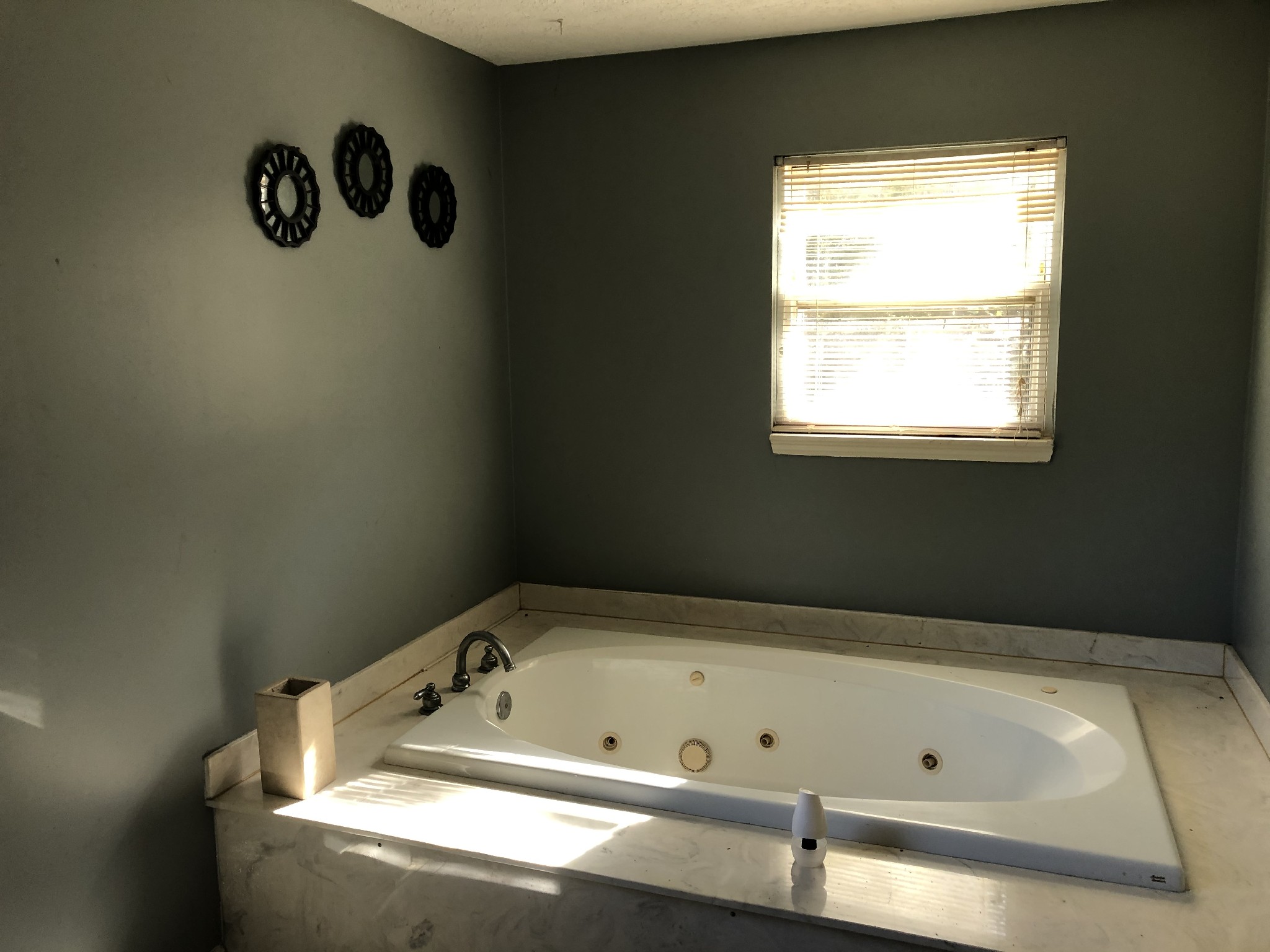 7535 Webster Road Greenbrier, TN 37073 - Photo 10 of 23 a bathroom with a bathtub and a window