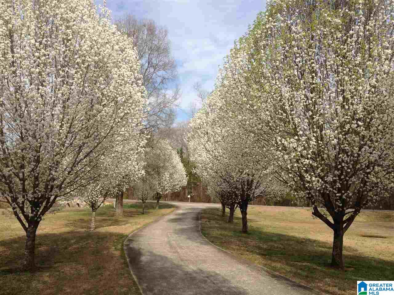 1135 Hughes Road Columbiana, AL 35051 - Photo 33 of 34