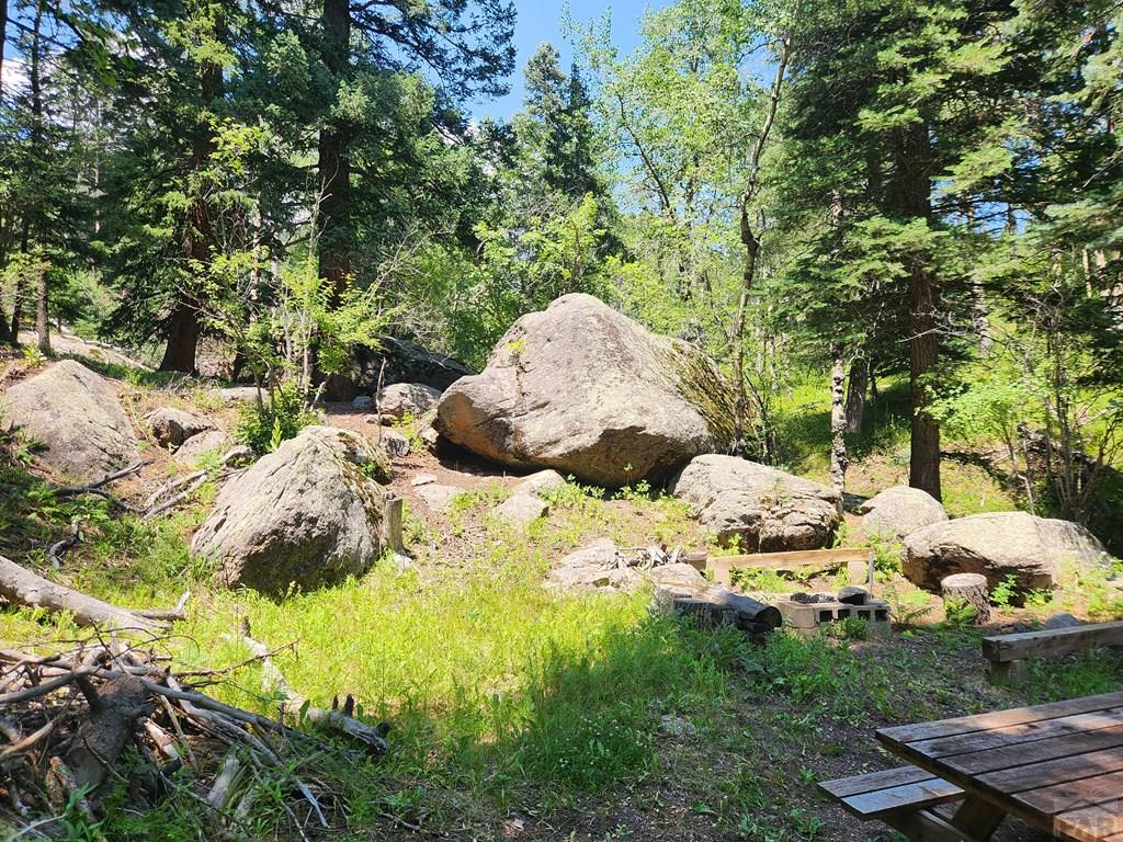 181 Lion Gulch Road Rye, CO 81069 - Photo 16 of 21