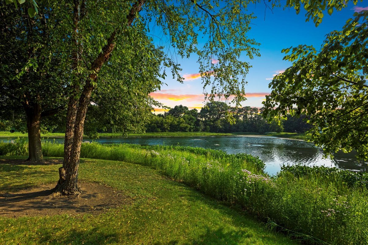1636 Columbia Circle, Unit 2 Bartlett, IL 60103 - Photo 34 of 47 a view of lake