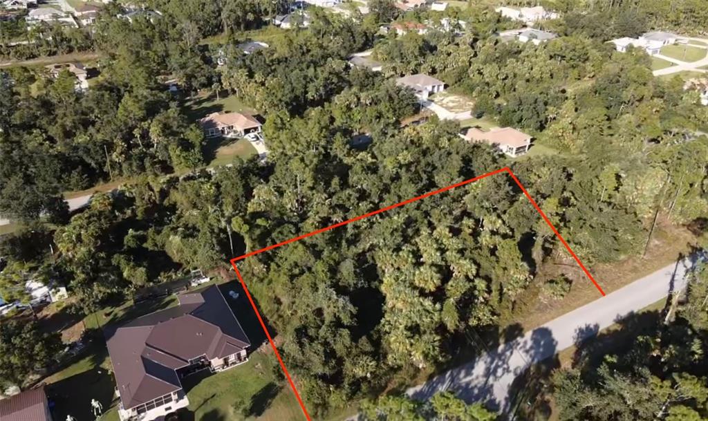 5 Countess Avenue North Port, FL 34288 - Photo 4 of 17 a picture of tree