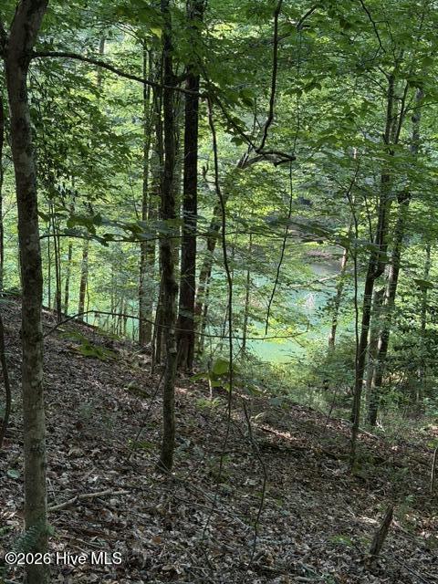 Lot 37 Quiet Waters Road Murphy, NC 28906 - Photo 5 of 6