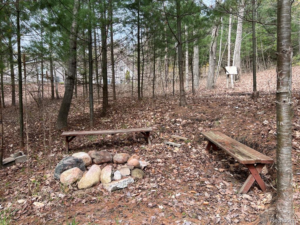 2903 Rushton Road Central Lake, MI 49622 - Photo 5 of 15