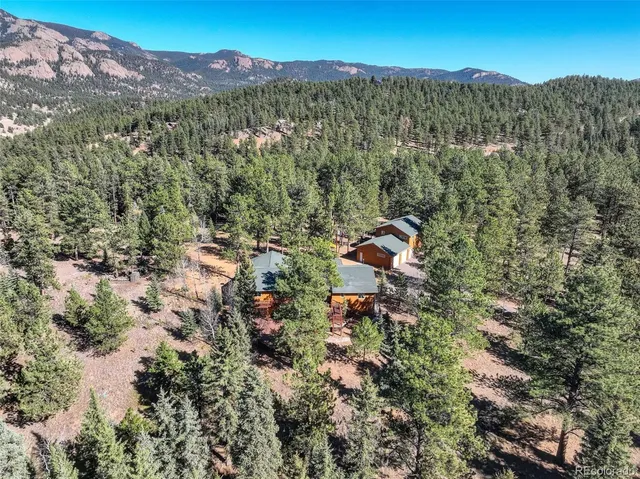 a view of a forest with mountains in the background