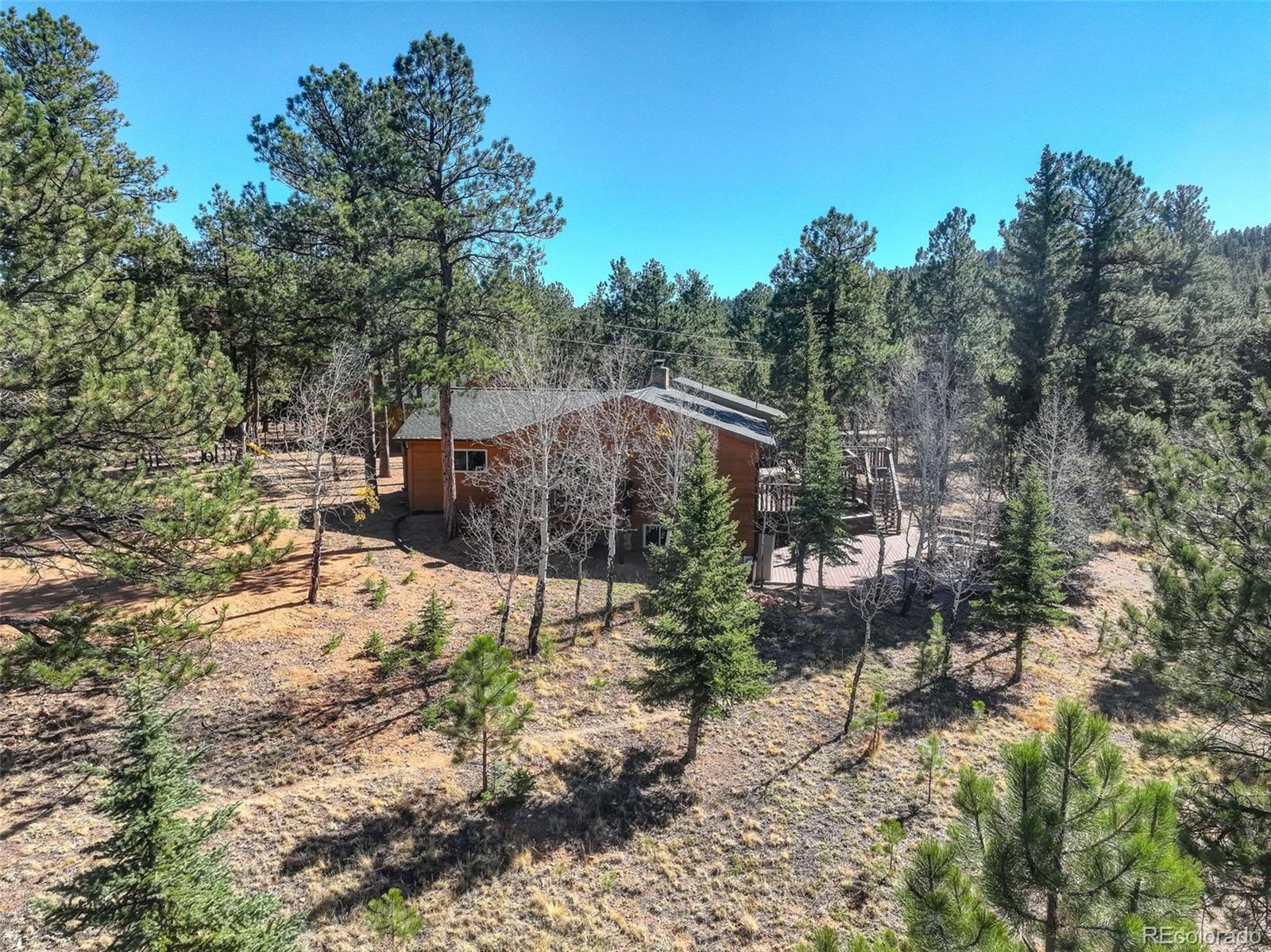 225 Spring Drive Pine, CO 80470 - Photo 23 of 44 a view of outdoor space and yard