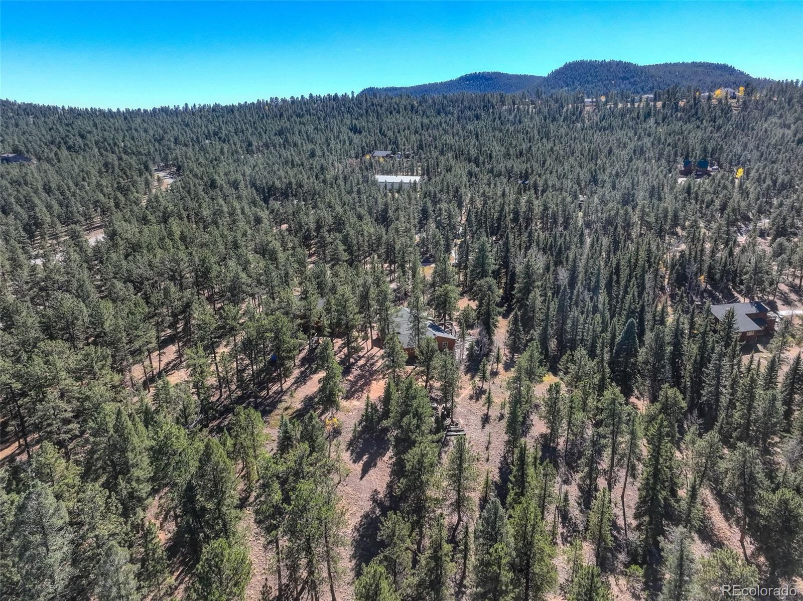 225 Spring Drive Pine, CO 80470 - Photo 24 of 44 a view of a houses with a yard