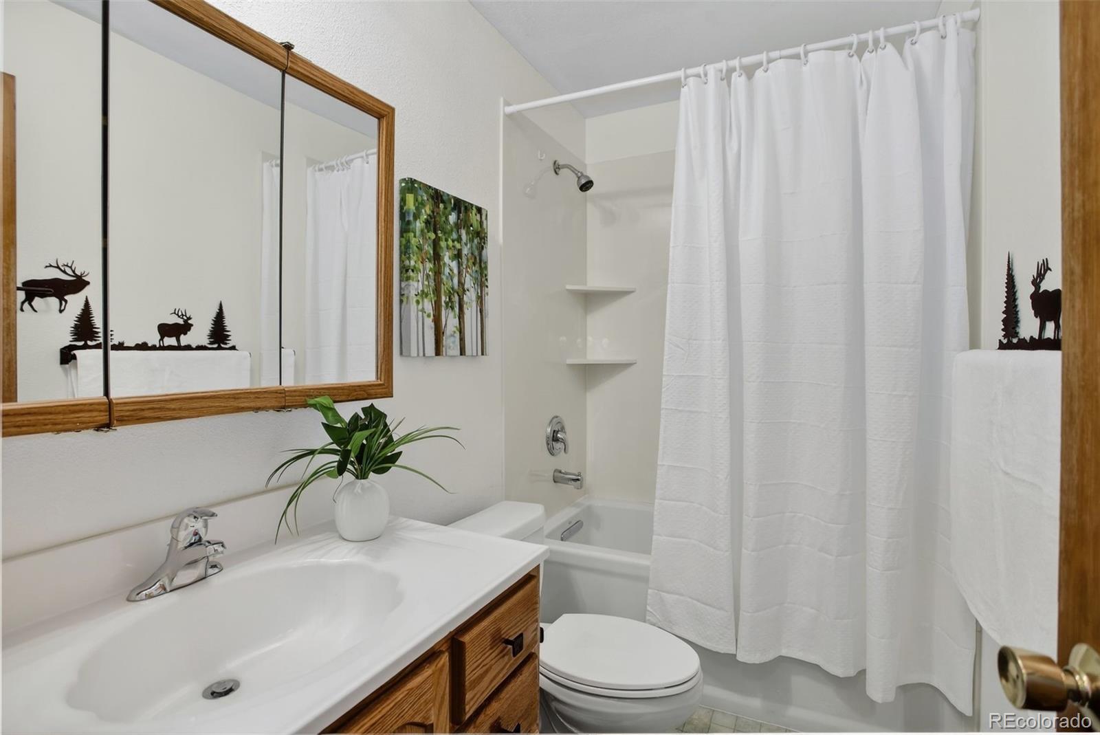 225 Spring Drive Pine, CO 80470 - Photo 28 of 44 a bathroom with a sink a toilet and shower