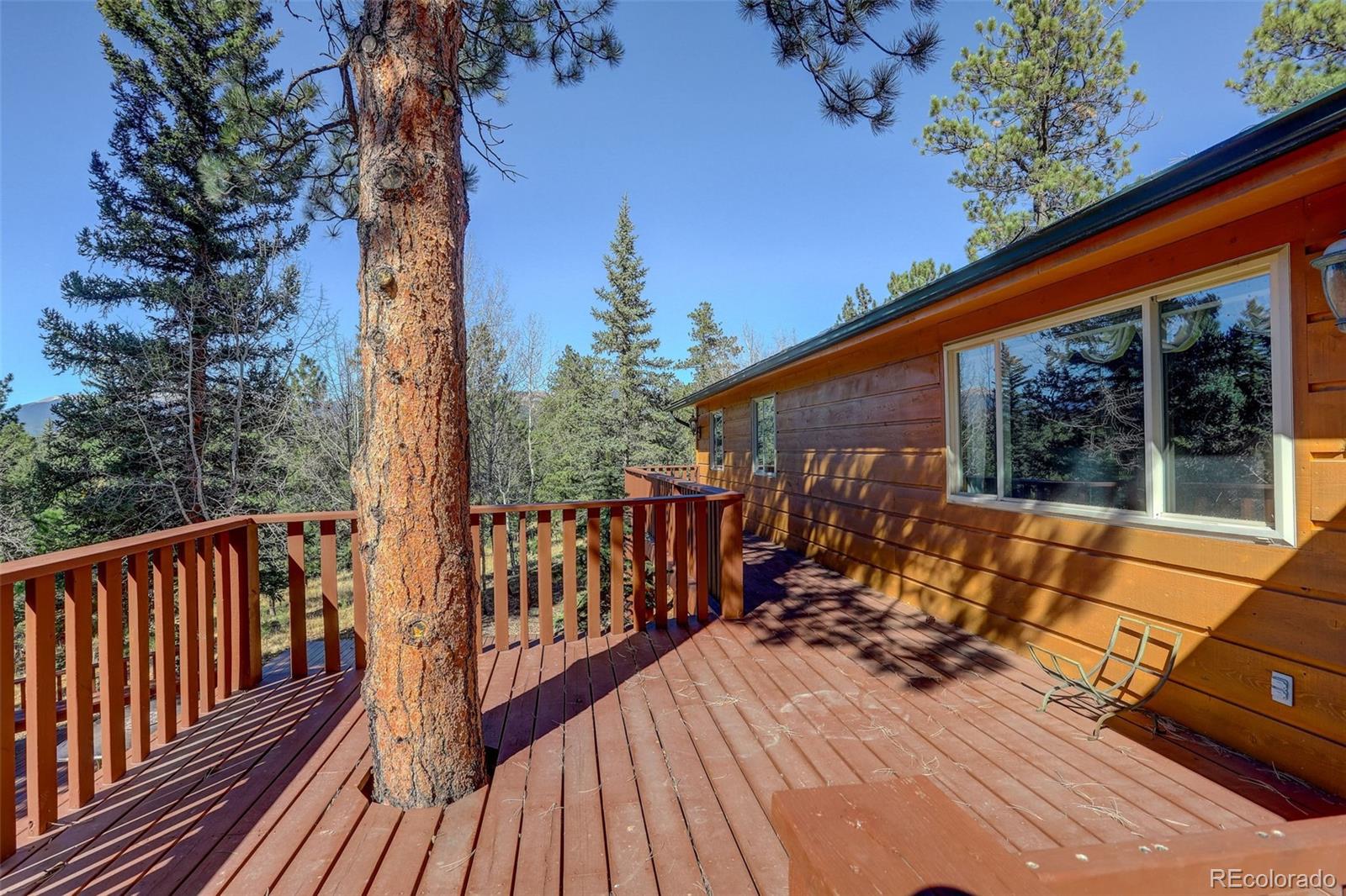 225 Spring Drive Pine, CO 80470 - Photo 41 of 44