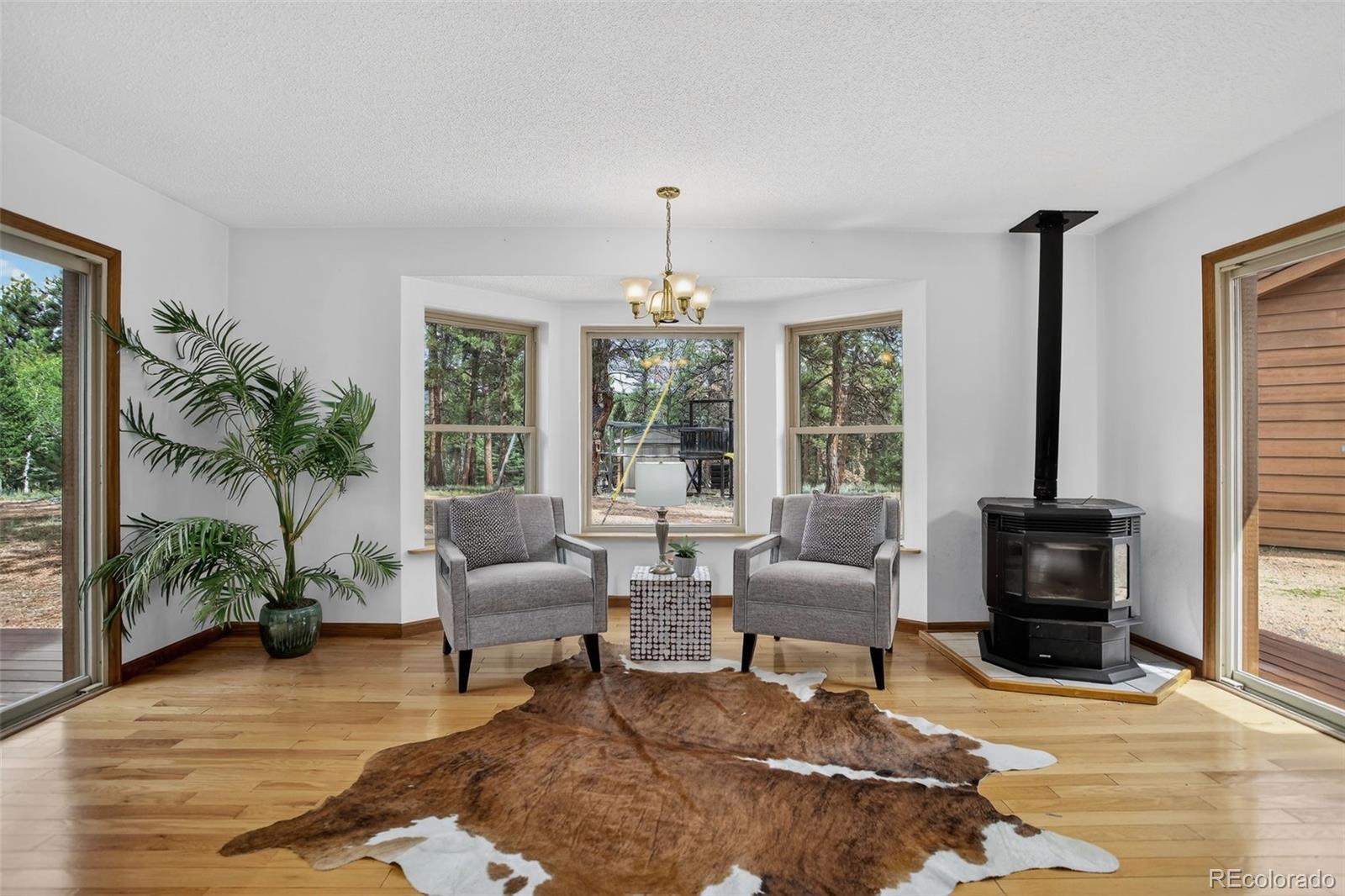 225 Spring Drive Pine, CO 80470 - Photo 8 of 44 a living room with furniture and a fireplace