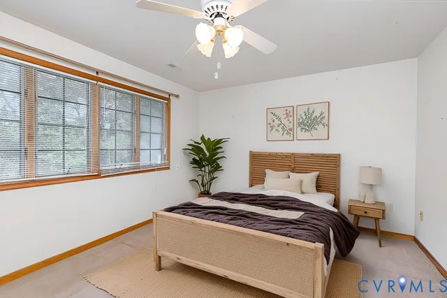 a view of a forest with trees