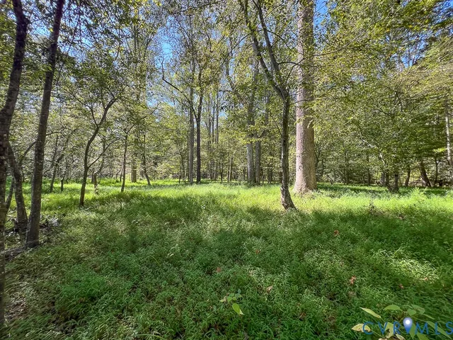 $1,195,000 | 10812 Millridge Lane, Spotsylvania, VA 22553