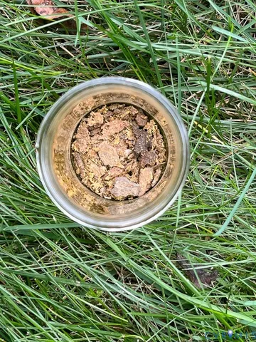 $1,195,000 | 10812 Millridge Lane, Spotsylvania, VA 22553