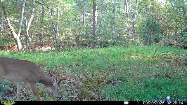 $1,195,000 | 10812 Millridge Lane, Spotsylvania, VA 22553