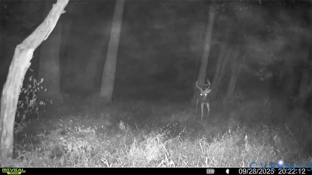 $1,250,000 | 10812 Millridge Lane, Spotsylvania, VA 22553