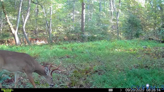 $1,250,000 | 10812 Millridge Lane, Spotsylvania, VA 22553