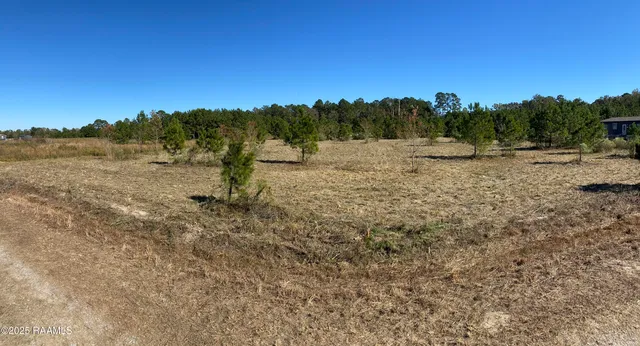 $44,000 | Tbd Tbd Wesdale, Crowley, LA 70526