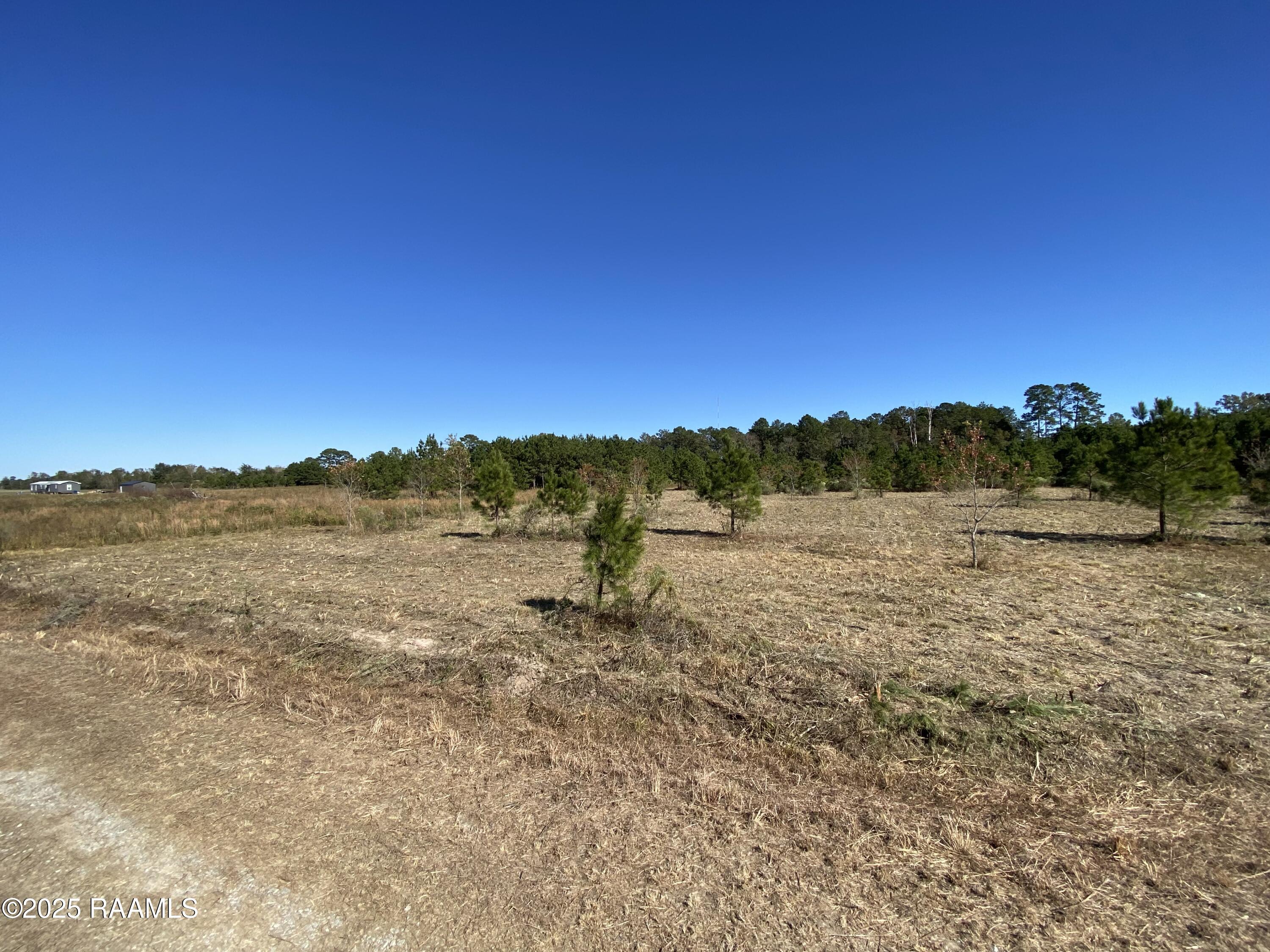 Tbd Tbd Wesdale Crowley, LA 70526 - Photo 2 of 8 1. IMG_3182